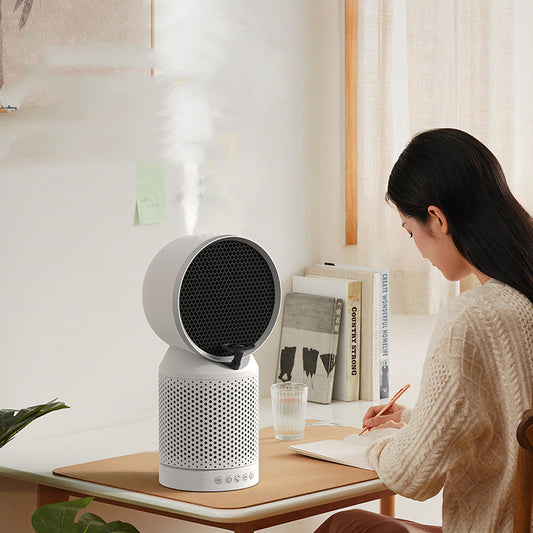 IONIQ-1
